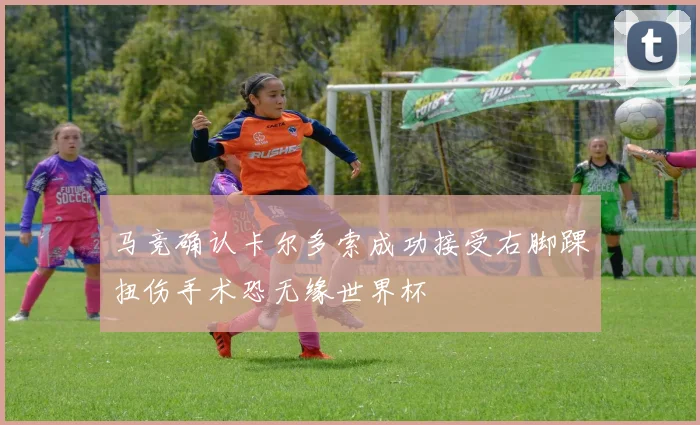 马竞确认卡尔多索成功接受右脚踝扭伤手术恐无缘世界杯