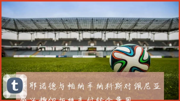 费耶诺德与帕纳辛纳科斯对佩尼亚感兴趣但拒绝支付转会费用